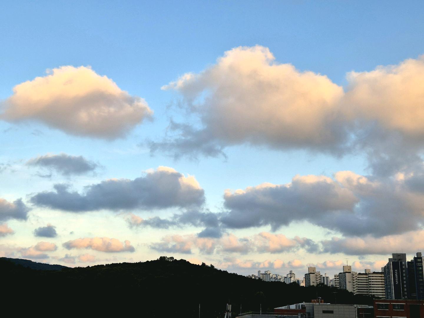 여름의 일 첨부 이미지