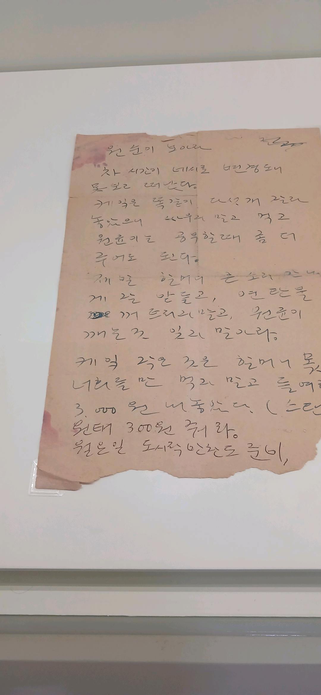 박완서 작가를 좋아한다면 첨부 이미지