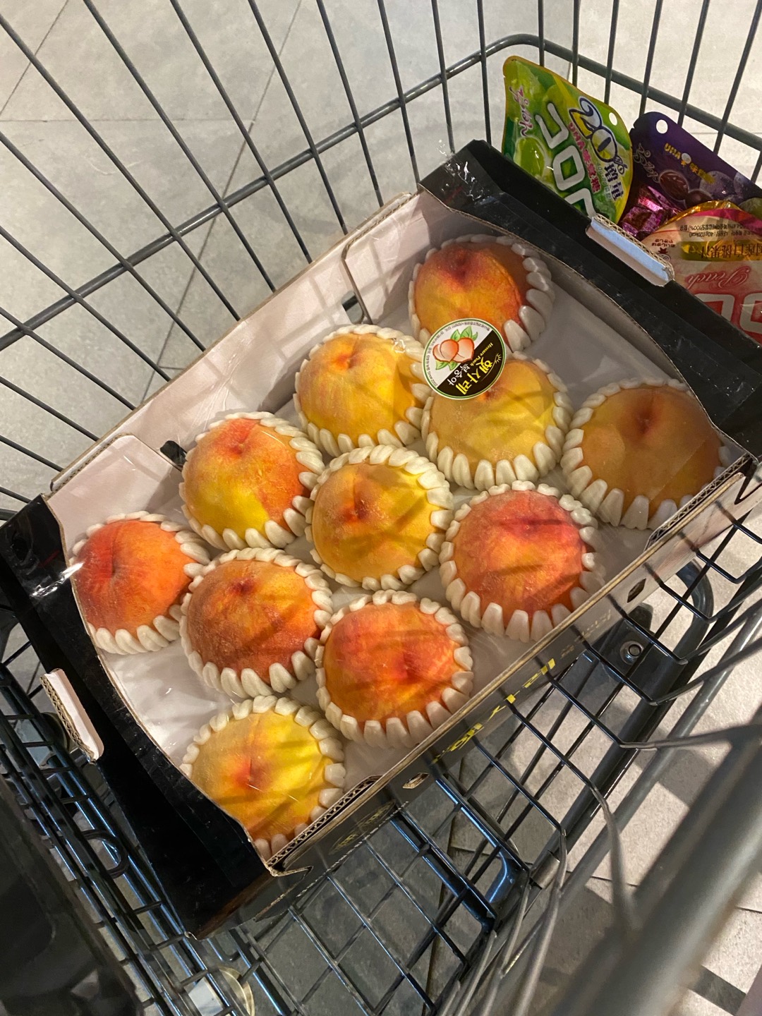 복숭아가 아직 괜찮네요(지난주금욜) 첨부 이미지